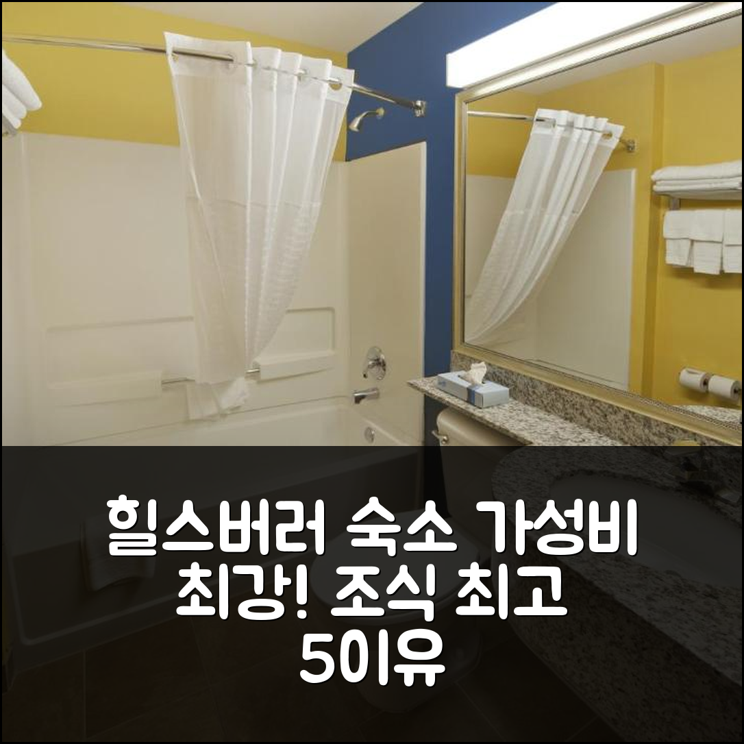 힐스버러 숙소 여행 호텔 추천 마이크로텔 인 앤 스위트 가성비와 조식이 뛰어난 5가지 이유