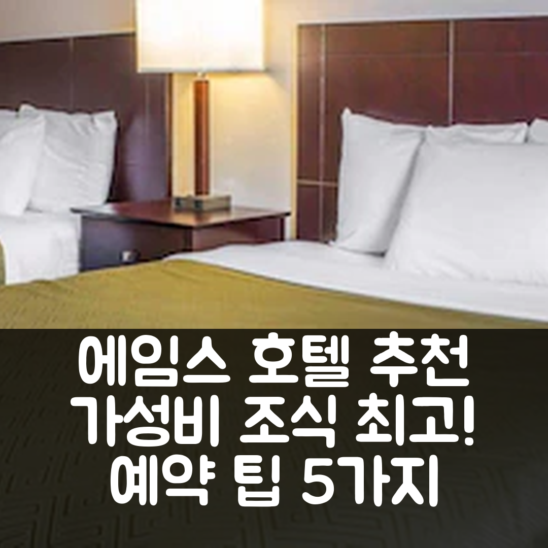 에임스 숙소 여행 호텔 추천 에코노 로지 | 가성비와 조식이 뛰어난 예약 팁 5가지