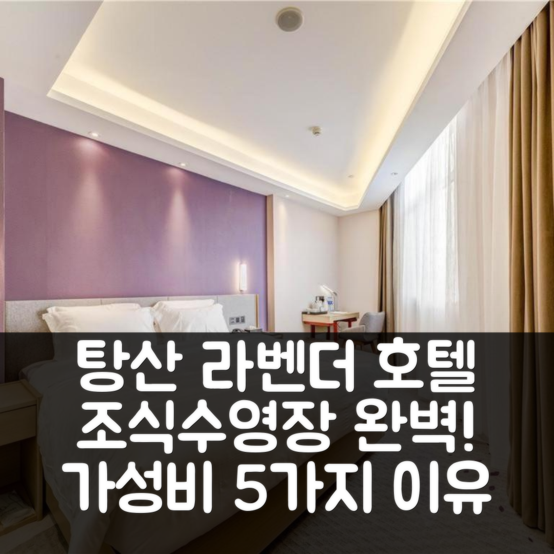 탕산 숙소 여행 호텔 추천 라벤더 호텔 | 조식과 수영장으로 완벽한 가성비 5가지 이유