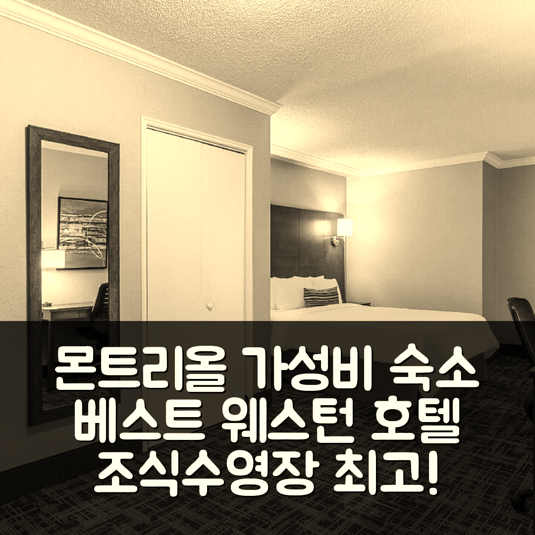 몬트리올 숙소 여행 호텔 추천 베스트 웨스턴 빌마리 몬트리올 호텔 앤 스위트 | 가성비와 조식이 뛰어난 3가지 이유와 수영장 정보