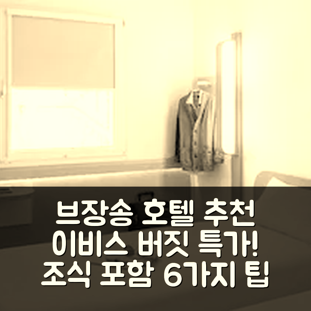 브장송 숙소 여행 호텔 추천 이비스 버짓 브장송 상트르 가르 | 가성비 뛰어난 위치와 조식 정보 6가지 팁