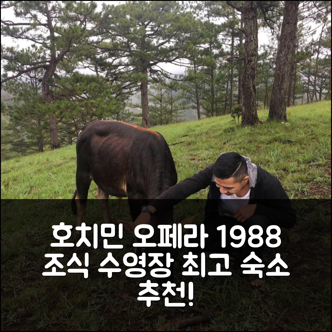 호치민 숙소 여행 호텔 추천 오페라 1988 아파트 | 조식과 수영장이 매력적인 4가지 이유