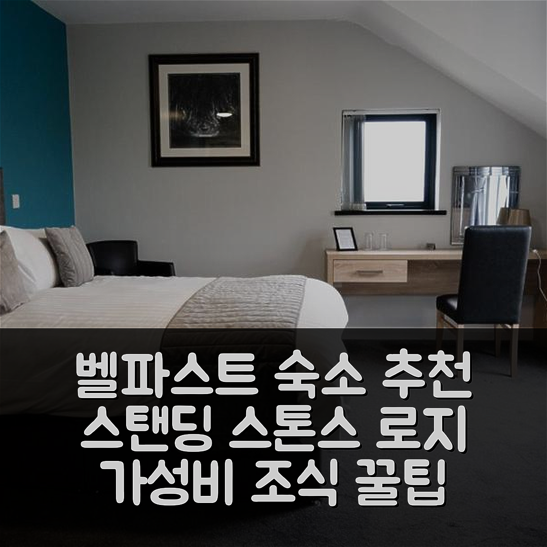 벨파스트 숙소 여행 호텔 추천 스탠딩 스톤스 로지 | 가성비 좋은 조식과 가격 대비 만족도 7가지 팁
