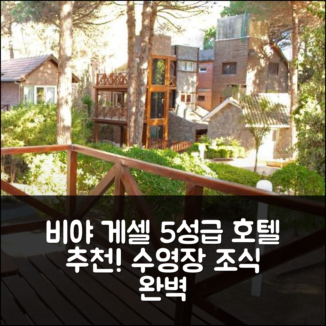 비야 게셀 숙소 여행 호텔 추천 카리로 빌리지 아파트 호텔 앤 스파 | 수영장과 조식이 뛰어난 5성급 숙소 7가지 이유