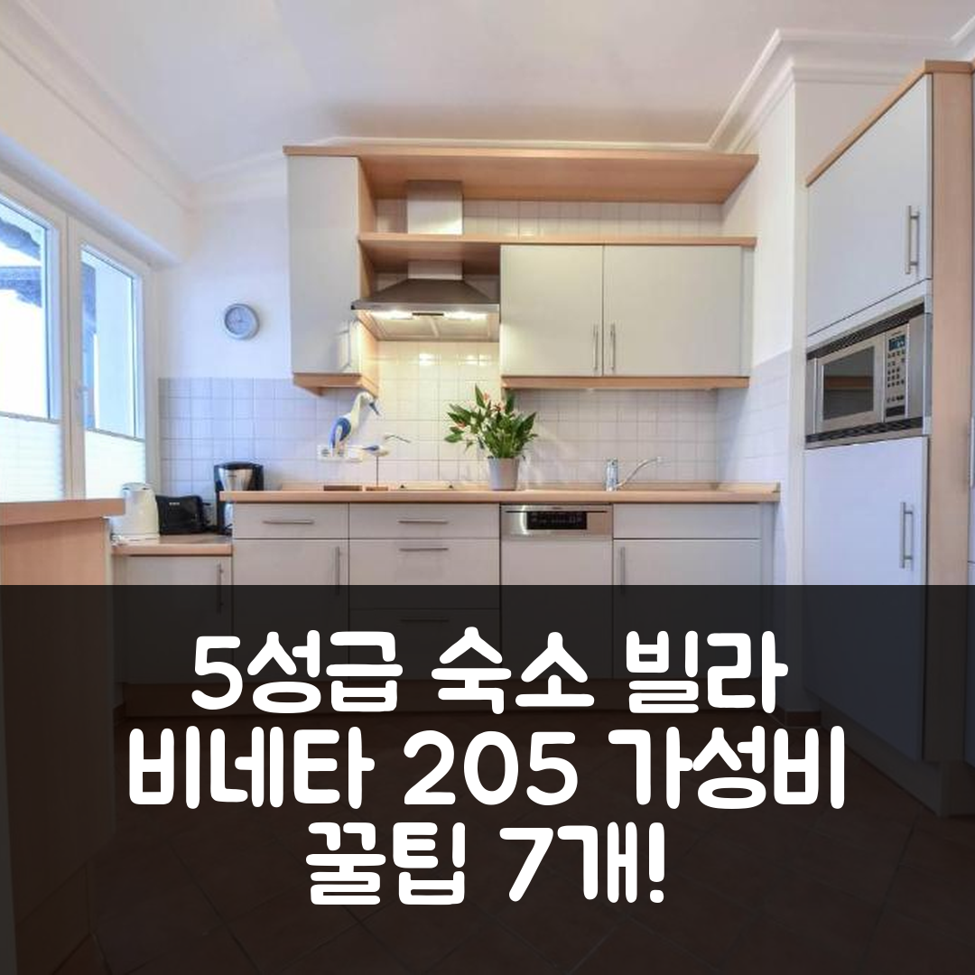 시바드 알베크 숙소 여행 호텔 추천 빌라 비네타 205 | 5성급 조식과 가성비 뛰어난 위치 7가지 팁